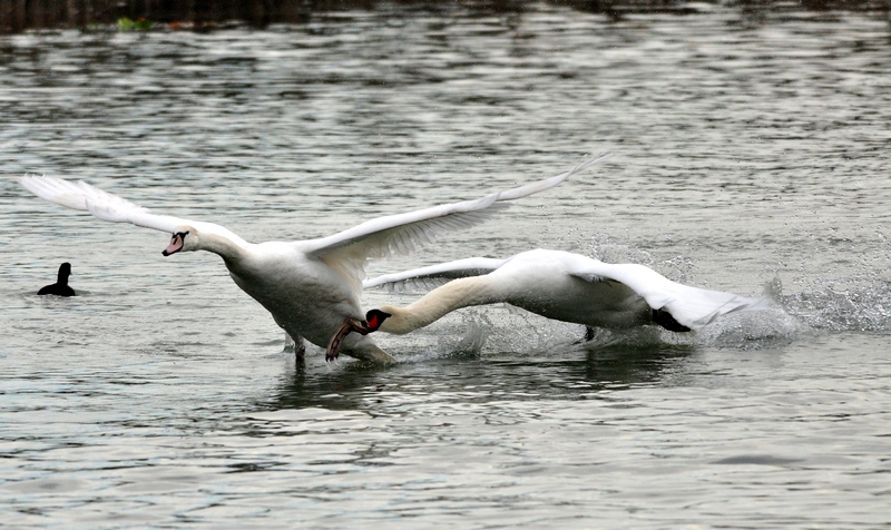 Approcio un p� forte!